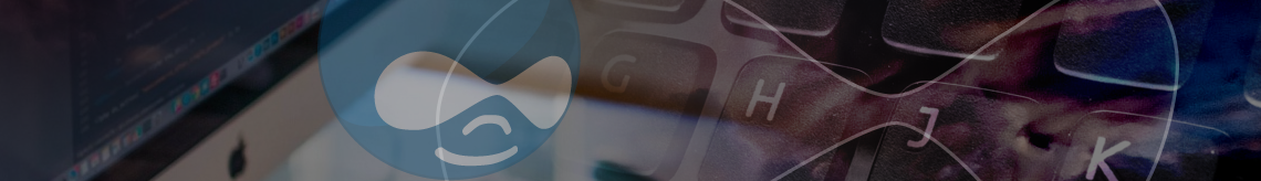 Header Image Beetle